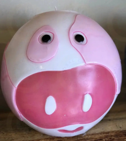 Ama the Pig Candle Studio